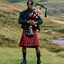 Travis Scottish