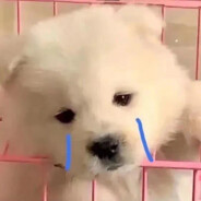 宝贝她只是我妹妹