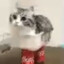 огуречный психоз