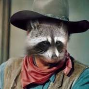 RokkyRaccoon