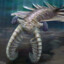 Shrimp_lovr7342