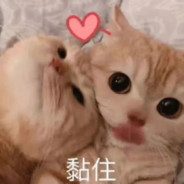 大哥，你女朋友摸我腿