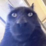Greeko