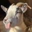 GOATfather