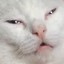 sawsauge scwhimmin