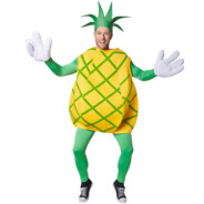 Pineapple The Fruit Dude