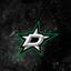 Dallas Stars