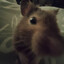Kieran.fyi ♥