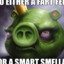 fart smella