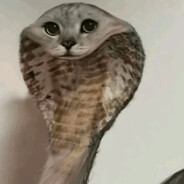 Osh