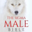 THE SIGMA MALE JESUS