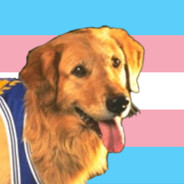 trans air bud