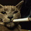 gato de humo
