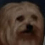 Rhodk