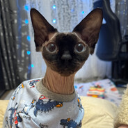 трусикс девочки