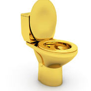 Golden Toilet Bowl