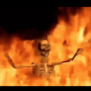 去码头抢海鸥薯条