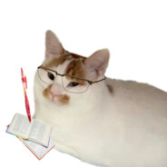 (￣ω￣ｏ)momonga