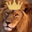 King LionAids