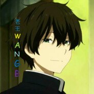 老王WANGB