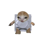 plaiboi слабый