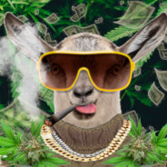 QupQakes