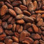 Cocoa beans