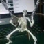 Skeleter