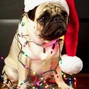 ChristmasPug