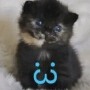 ПУСИС ХЛЮПУС