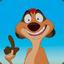 timon