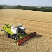 Lexion