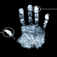 Nevertrust | Cs-kopytko.pl