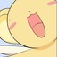 cardia