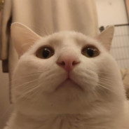 狂龙邪少 - steam id 76561197964439843