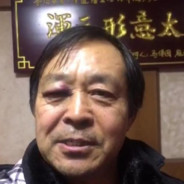 浑元形意太极拳-马保国