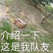 PUBG人类X败涂地