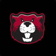 RaivaTV