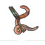 Worm