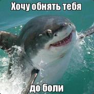 BlackShark