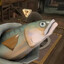 LazyFish