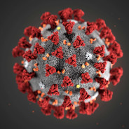 Coronga Virus