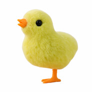Dubí