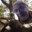 infinity rent stones