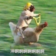 天天爱喝八宝居