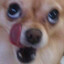 PurityCE