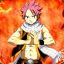 Natsu_salamander