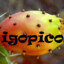 Igopico