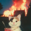 puked kittens