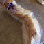Mishandled Bread
